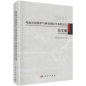 011-龟兹石窟保护与石窟国际学术研讨会论文集"