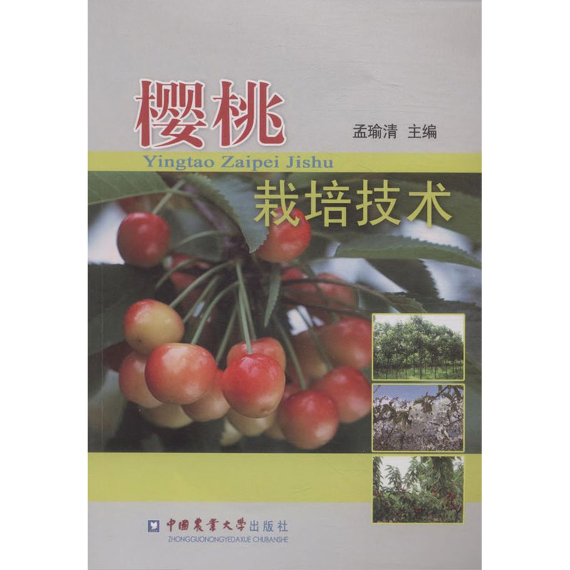 樱桃栽培技术