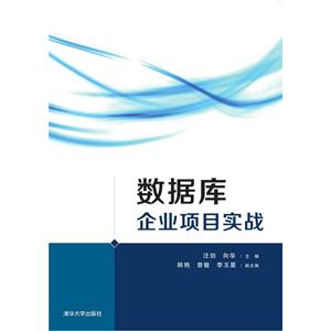 数据库企业项目实战