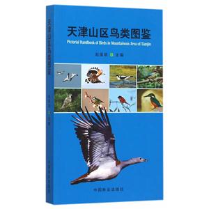 天津山区鸟类图鉴