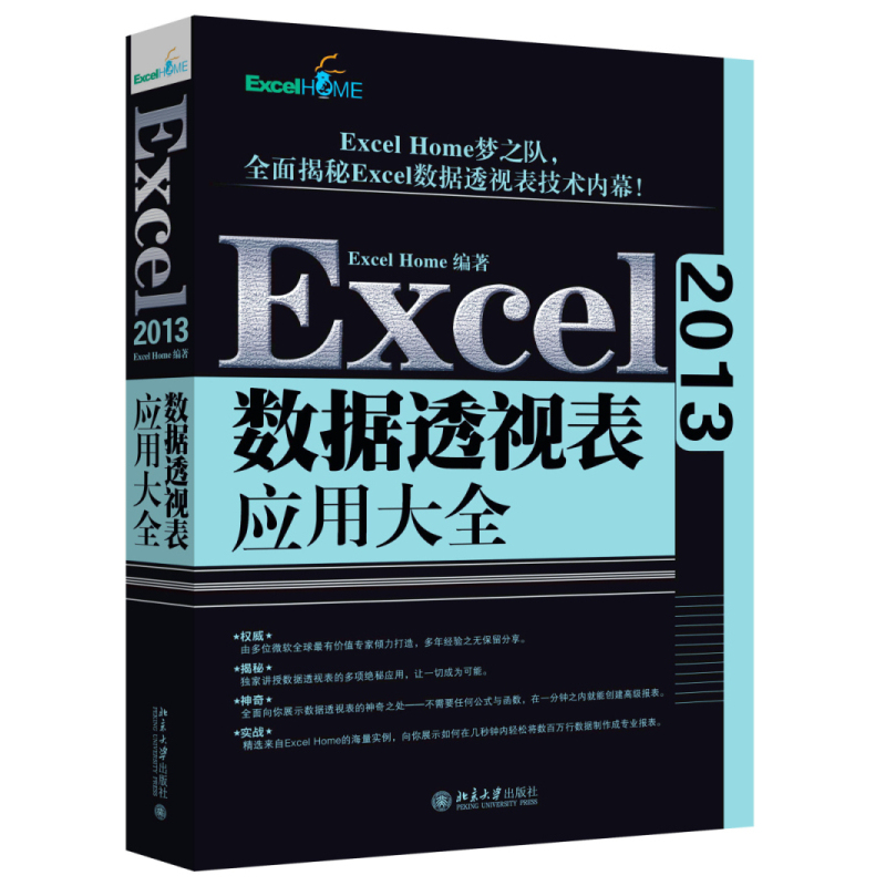 Excel 2013数据透视表应用大全