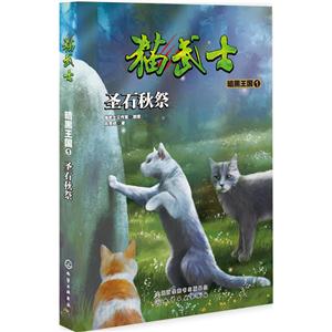 圣石秋祭暗黑王国1猫武士