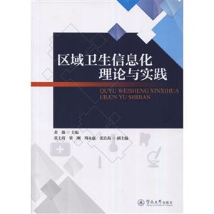 区域卫生信息化理论与实践