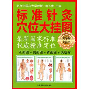 标准针灸穴位大挂图-大字版大挂图