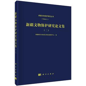 新疆文物保护研究论文集-(二)