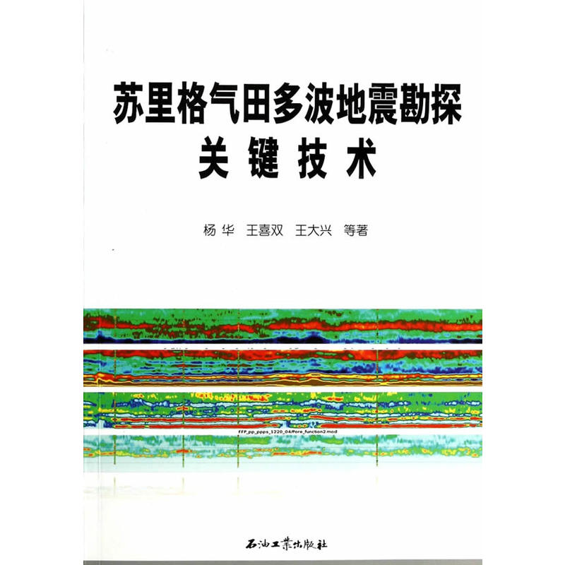 苏里格气田多波地震勘探关键技术