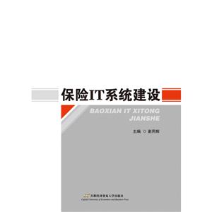 保险IT系统建设