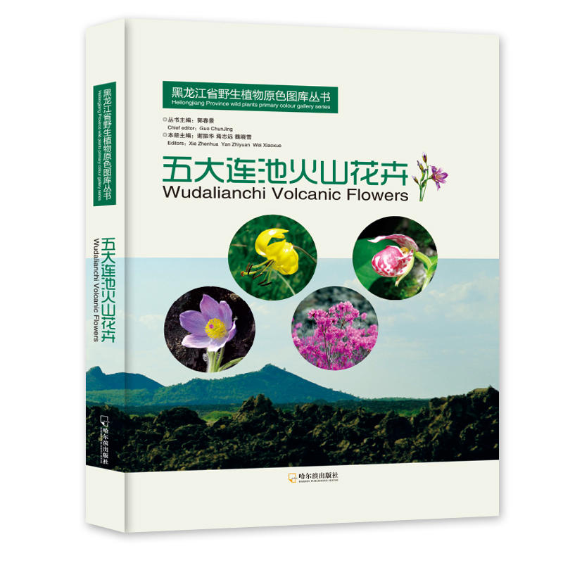 五大连池火山花卉