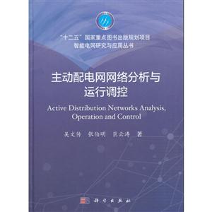 主动配电网网络分析与运行调控