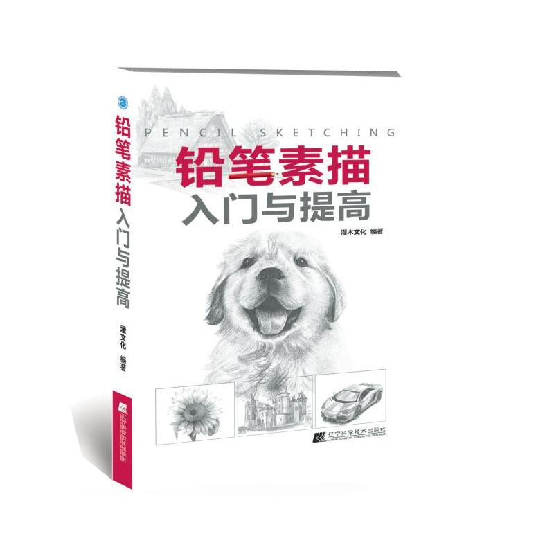 铅笔素描入门与提高