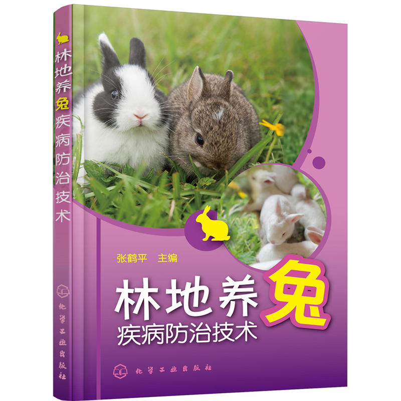 林地养兔疾病防治技术