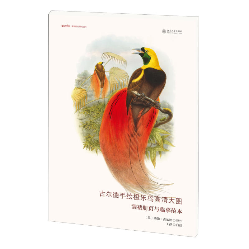 吉尔德手绘极乐鸟高清大图-装裱册页与临摹范本