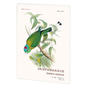 古尔德手绘鹦鹉高清大图-装裱册页与临摹范本