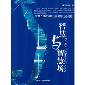 智慧与智慧场