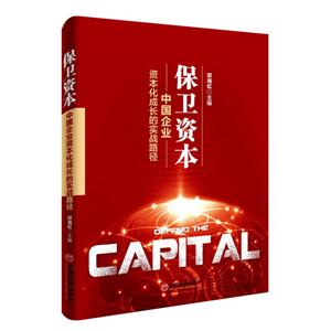 保卫资本-中国企业资本化成长的实战路径