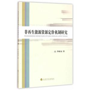 非再生能源资源定价机制研究