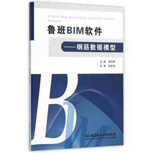 鲁班BIM软件--钢筋数据模型
