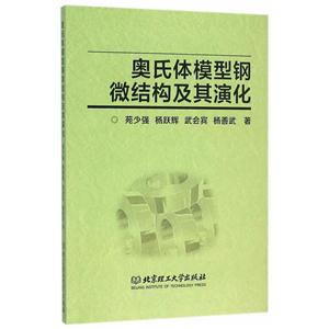 奥氏体模型钢微结构及其演化