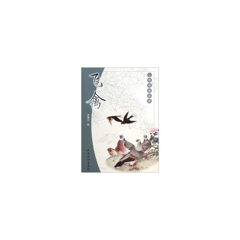 飞禽-工笔线描画谱