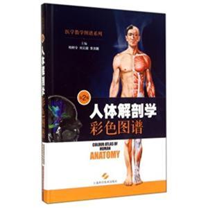 人体解剖学彩色图谱-第2版