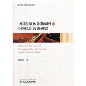 中国金融体系脆弱性与金融稳定政策研究