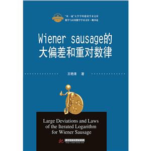 Wiener Sausage的大偏差和重对数律