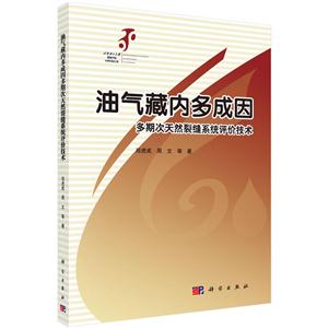 油气藏内多成因多斯次天然裂缝系统评价技术