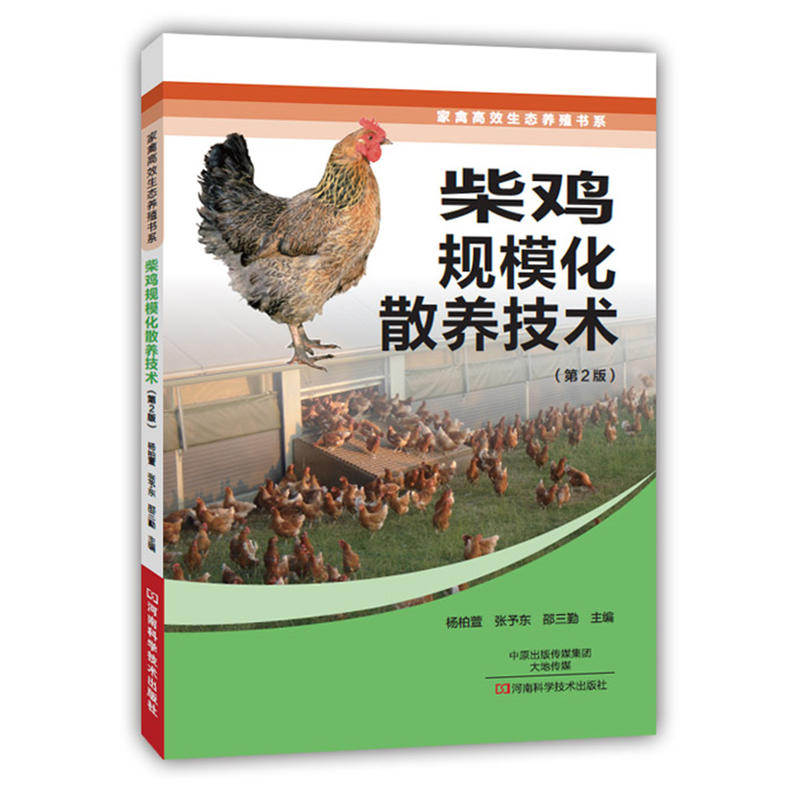 柴鸡规模化散养技术