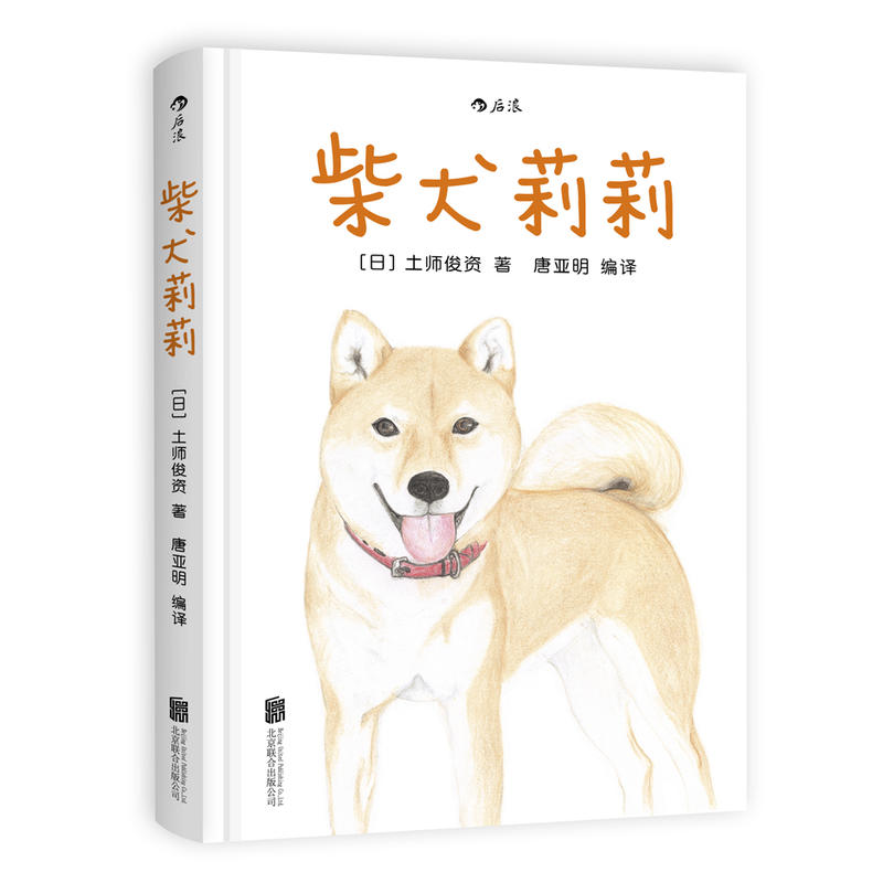 柴犬莉莉