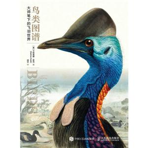 鸟类图谱-大师笔下的飞羽世界