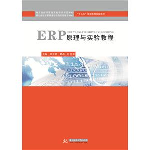 ERP原理与实验教程