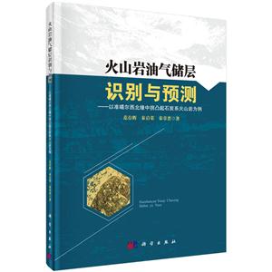 火山岩油气储层识别与预测-以准噶尔西北缘中拐凸起石炭系火山岩为例