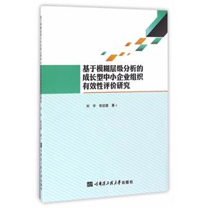 基于模糊层级分析的成长型中小企业组织有效性评价研究