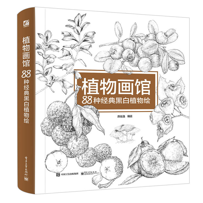 植物画馆-88种经典黑白植物绘