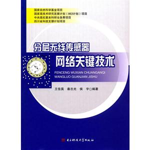 分层无线传感器网络关键技术