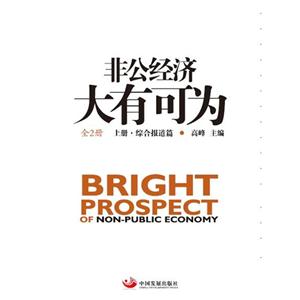 非公经济大有可为-(上.下册)