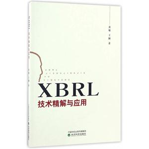 XBRL技术精解与应用