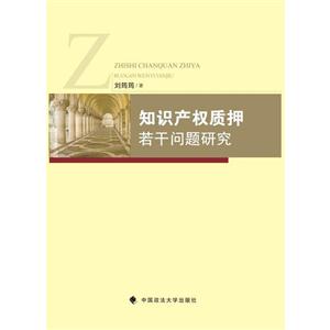 知识产权质押若干问题研究