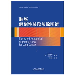肺癌解剖性肺段切除图谱