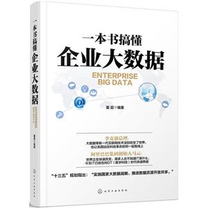 一本书搞懂企业大数据