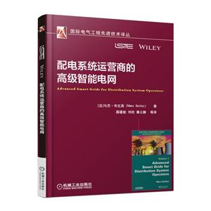 配电系统运营商的高级智能电网
