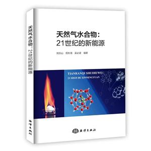 天然气水合物:21世纪的新能源