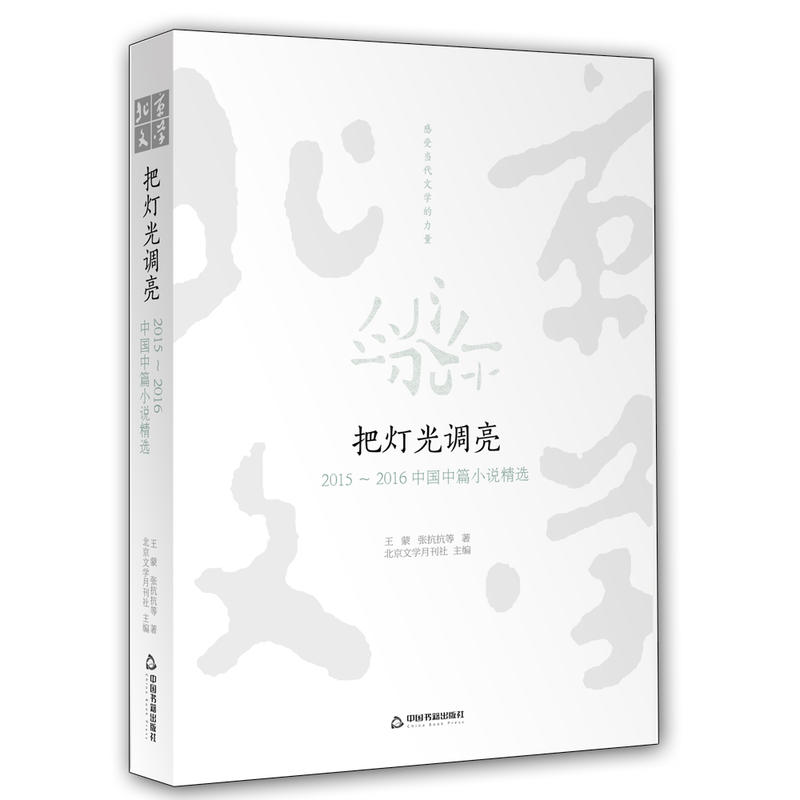 把灯光调亮-2015-2016中国中篇小说精选