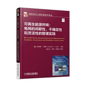 可再生能源并网:电网的间歇性.不确定性和灵活性的管理实践