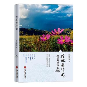 在低处行走(诗集)