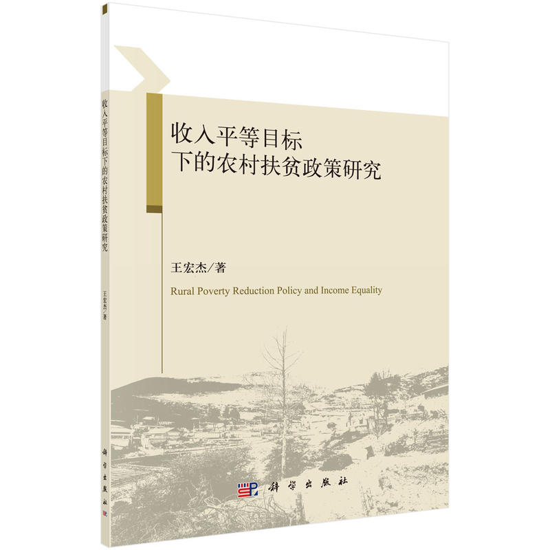 收入平等目标下的农村扶贫政策研究