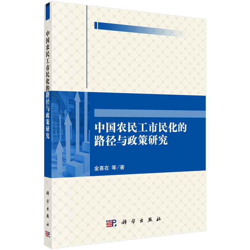 中国农业民工市民化的路径与政策研究