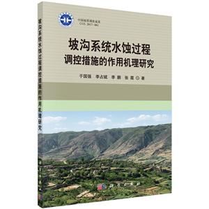 坡沟系统水蚀过程调控措施的作用机理研究