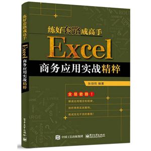 练好套路成高手-Excel商务应用实战精粹