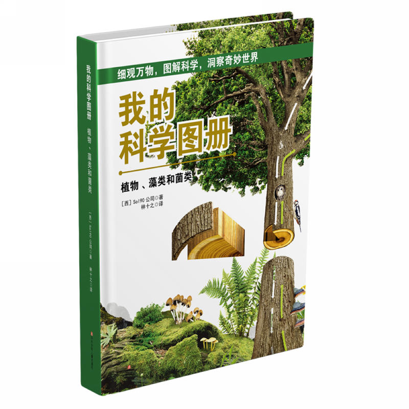 植物.藻类和菌类-我的科学图册